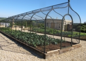 Fruit and vegetable cages, galvanized mild steel