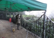 The Ironart restoration team reinstating the restored railings at Chalford