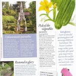 Cast iron bench restoration in Country Living Magazine