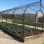 Fruit and vegetable cages